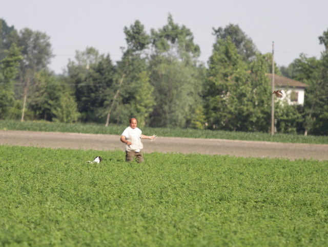 FESTA BRUNO CON IL POINTER NADIR FERMO AL FRULLO.jpg